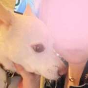 ヒメ日記 2025/06/14 22:49 投稿 かい 奥様プリモ