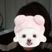 ヒメ日記 2025/06/21 05:49 投稿 かい 奥様プリモ