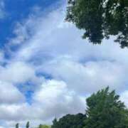 ヒメ日記 2025/06/26 08:59 投稿 かい 奥様プリモ