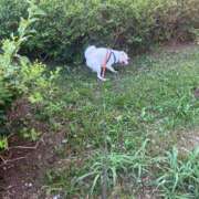 ヒメ日記 2025/07/04 09:19 投稿 かい 奥様プリモ