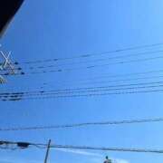 ヒメ日記 2025/07/22 14:29 投稿 かい 奥様プリモ