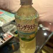 ヒメ日記 2025/08/11 14:09 投稿 かい 奥様プリモ