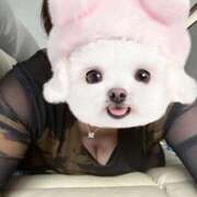 ヒメ日記 2025/08/22 15:49 投稿 かい 奥様プリモ