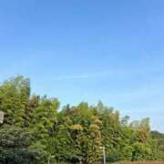 ヒメ日記 2025/08/23 12:59 投稿 かい 奥様プリモ