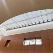 ヒメ日記 2025/08/28 15:49 投稿 かい 奥様プリモ