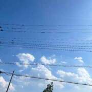 ヒメ日記 2025/08/30 15:49 投稿 かい 奥様プリモ