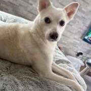 ヒメ日記 2025/09/11 14:39 投稿 かい 奥様プリモ