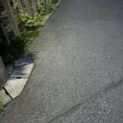 ヒメ日記 2025/09/13 18:39 投稿 かい 奥様プリモ