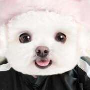 ヒメ日記 2025/10/02 12:09 投稿 かい 奥様プリモ