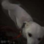 ヒメ日記 2025/10/11 05:59 投稿 かい 奥様プリモ