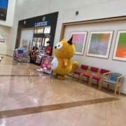 ヒメ日記 2025/11/05 09:39 投稿 かい 奥様プリモ