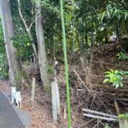 ヒメ日記 2025/11/08 10:19 投稿 かい 奥様プリモ