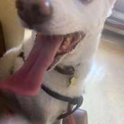 ヒメ日記 2025/11/15 15:09 投稿 かい 奥様プリモ