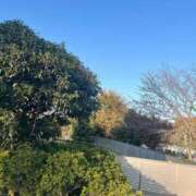 ヒメ日記 2025/11/17 16:29 投稿 かい 奥様プリモ