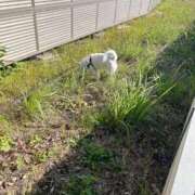 ヒメ日記 2025/11/20 13:49 投稿 かい 奥様プリモ