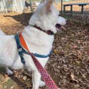 ヒメ日記 2025/11/22 15:39 投稿 かい 奥様プリモ