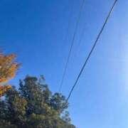 ヒメ日記 2025/11/28 12:29 投稿 かい 奥様プリモ