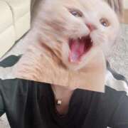 ヒメ日記 2025/11/29 13:39 投稿 かい 奥様プリモ