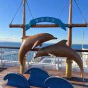 ヒメ日記 2025/12/05 08:49 投稿 かい 奥様プリモ