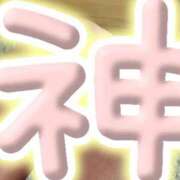 かい こんにちは✨ 奥様プリモ