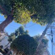 かい ｷｬ─(*ᵒ̴̶̷͈᷄ᗨᵒ̴̶̷͈᷅)─♡ 奥様プリモ