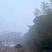 ヒメ日記 2025/12/25 07:29 投稿 かい 奥様プリモ