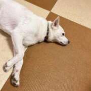 ヒメ日記 2025/12/27 16:39 投稿 かい 奥様プリモ