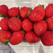 ヒメ日記 2025/12/28 12:49 投稿 かい 奥様プリモ