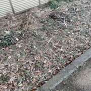 ヒメ日記 2026/01/08 07:29 投稿 かい 奥様プリモ