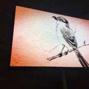 ヒメ日記 2026/01/08 17:39 投稿 かい 奥様プリモ