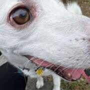 ヒメ日記 2026/04/01 10:29 投稿 かい 奥様プリモ