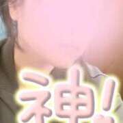 ヒメ日記 2026/06/14 14:09 投稿 かい 奥様プリモ