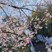 ヒメ日記 2026/03/29 18:03 投稿 千秋(ちあき) お客様満足度NO.1デリヘル！ 秘密倶楽部 凛 千葉