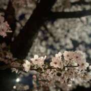 ヒメ日記 2026/04/01 07:48 投稿 千秋(ちあき) お客様満足度NO.1デリヘル！ 秘密倶楽部 凛 千葉