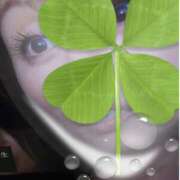 ヒメ日記 2024/12/10 10:13 投稿 ももこ 奥鉄オクテツ東京店（デリヘル市場）