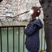 ヒメ日記 2025/04/03 22:23 投稿 ももこ 奥鉄オクテツ東京店（デリヘル市場）