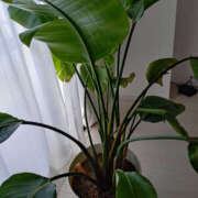 ヒメ日記 2025/05/07 09:38 投稿 ももこ 奥鉄オクテツ東京店（デリヘル市場）