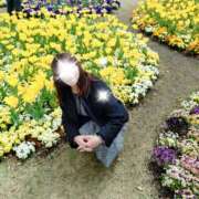 ヒメ日記 2025/05/09 08:31 投稿 ももこ 奥鉄オクテツ東京店（デリヘル市場）