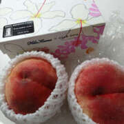 ヒメ日記 2025/07/22 17:03 投稿 ももこ 奥鉄オクテツ東京店（デリヘル市場）