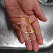 ヒメ日記 2025/08/06 22:55 投稿 ももこ 奥鉄オクテツ東京店（デリヘル市場）