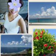 ヒメ日記 2025/09/19 11:43 投稿 ももこ 奥鉄オクテツ東京店（デリヘル市場）