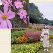 ヒメ日記 2025/10/14 09:01 投稿 ももこ 奥鉄オクテツ東京店（デリヘル市場）