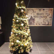 ヒメ日記 2025/10/30 16:57 投稿 ももこ 奥鉄オクテツ東京店（デリヘル市場）