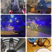 ヒメ日記 2025/12/25 20:06 投稿 ももこ 奥鉄オクテツ東京店（デリヘル市場）