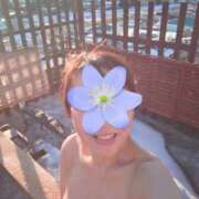 ヒメ日記 2026/02/03 22:00 投稿 ももこ 奥鉄オクテツ東京店（デリヘル市場）