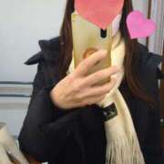 ヒメ日記 2026/02/10 11:00 投稿 ももこ 奥鉄オクテツ東京店（デリヘル市場）