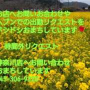 ヒメ日記 2026/02/25 12:16 投稿 ももこ 奥鉄オクテツ東京店（デリヘル市場）