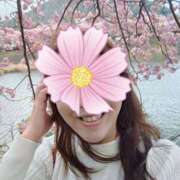 ヒメ日記 2026/03/02 10:32 投稿 ももこ 奥鉄オクテツ東京店（デリヘル市場）