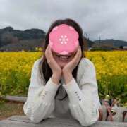 ヒメ日記 2026/03/10 09:42 投稿 ももこ 奥鉄オクテツ東京店（デリヘル市場）