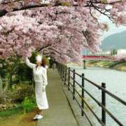 ヒメ日記 2026/03/13 12:38 投稿 ももこ 奥鉄オクテツ東京店（デリヘル市場）